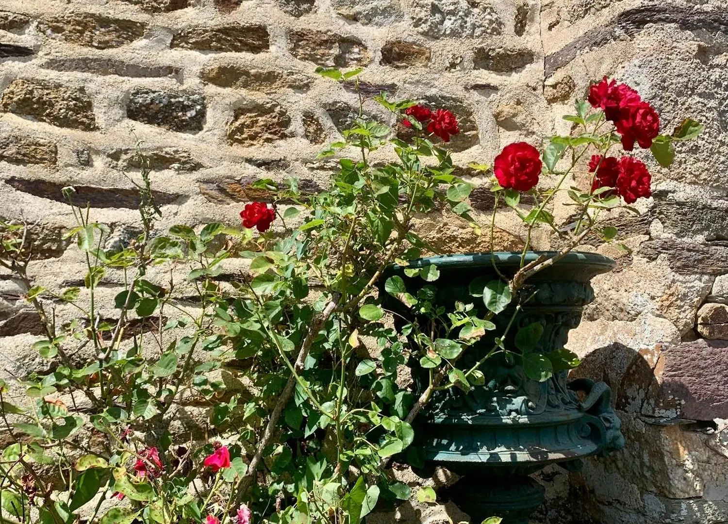 Maison D'Hotes Chateau De La Lambardais Maure-de-Bretagne Bed & Breakfast