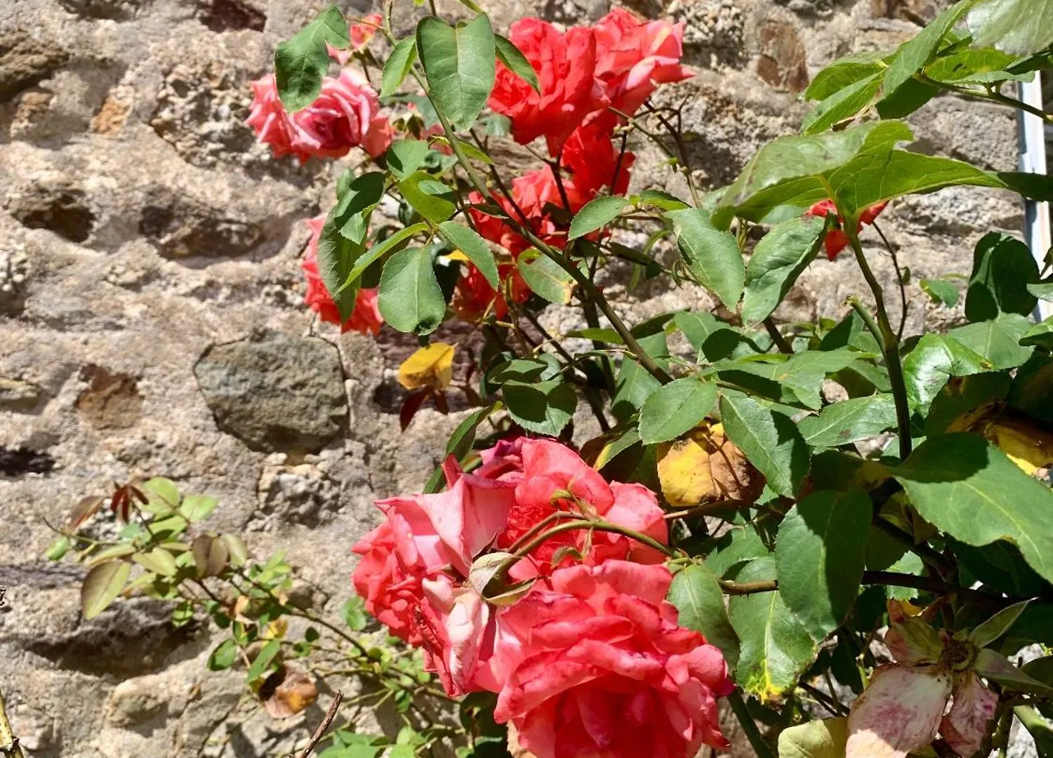 Bed & Breakfast Maison D'Hotes Chateau De La Lambardais Maure-de-Bretagne